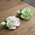 Cloud Light Warm Scent